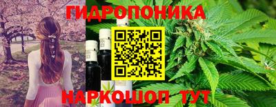 индика Коммунар